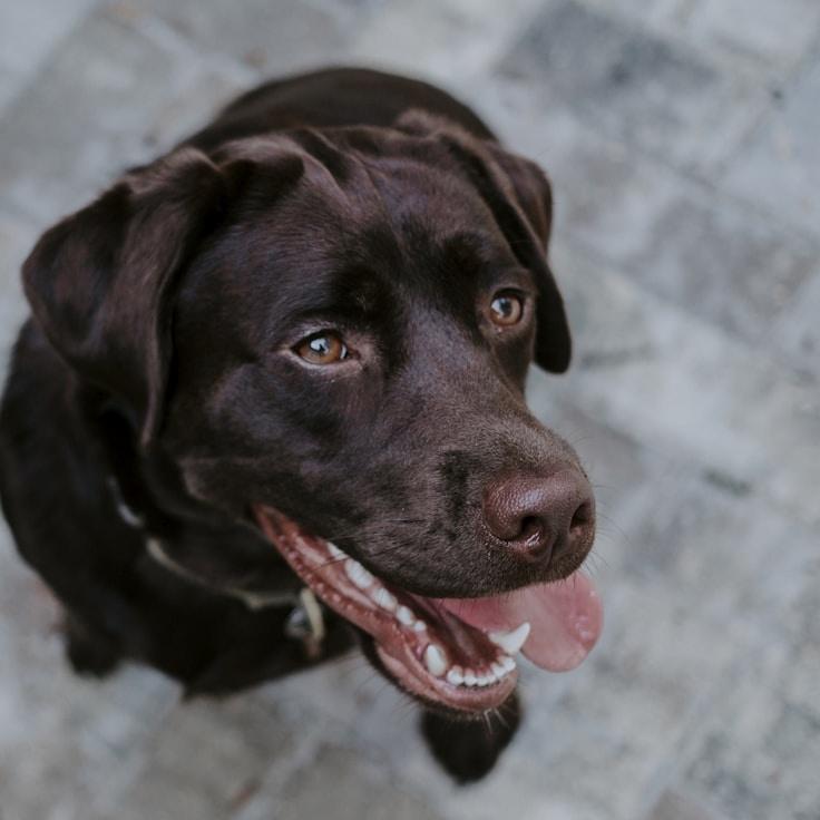 Kaveri Mehta, Lead Design Curator at LakesideStream, reviewing corporate floral arrangements